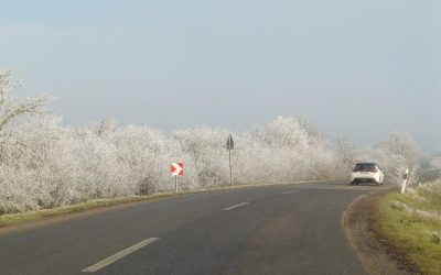 Elsősegélynyújtás, első ellátás
